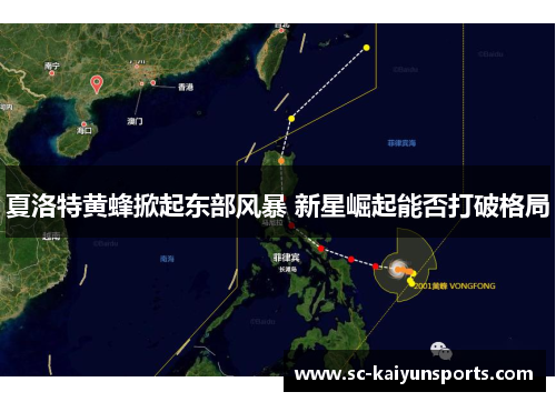 夏洛特黄蜂掀起东部风暴 新星崛起能否打破格局
